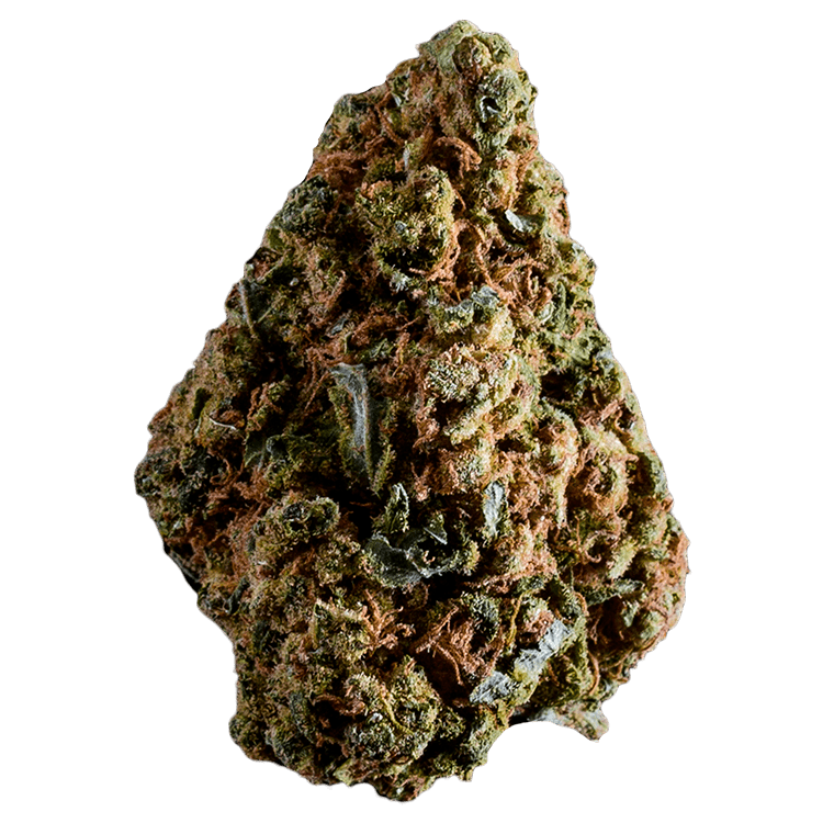 Grapefruit Haze | BC Weed Edible Canada Grapefruit Haze | BC Weed Edible Canada