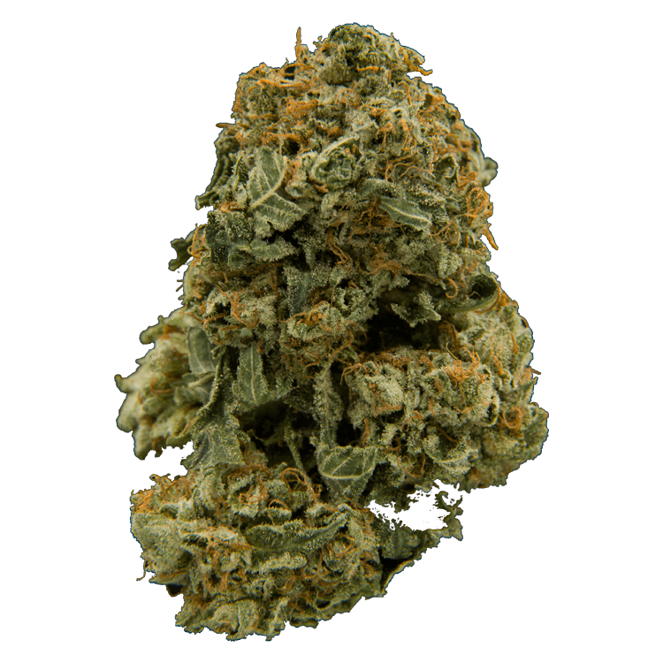 Blush | BC Weed Edible Canada Blush | BC Weed Edible Canada