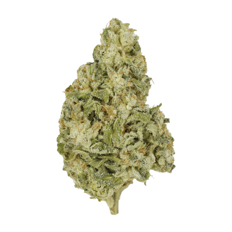 Zombie OG | BC Weed Edible Canada Zombie OG | BC Weed Edible Canada