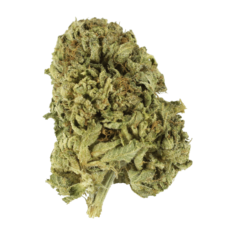 Sour Diesel | BC Weed Edible Canada Sour Diesel | BC Weed Edible Canada