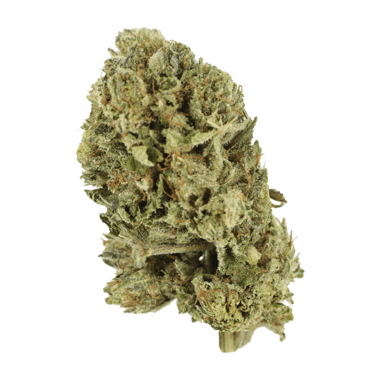 Purple OG Kush – 1 ounce | BC Weed Edible Canada Purple OG Kush – 1 ounce | BC Weed Edible Canada