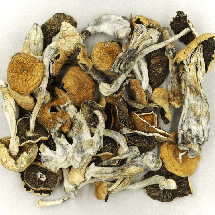 Puerto Rican | BC Weed Edible Canada Puerto Rican | BC Weed Edible Canada