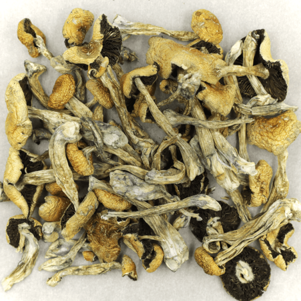 Puerto Rican | BC Weed Edible Canada Puerto Rican | BC Weed Edible Canada