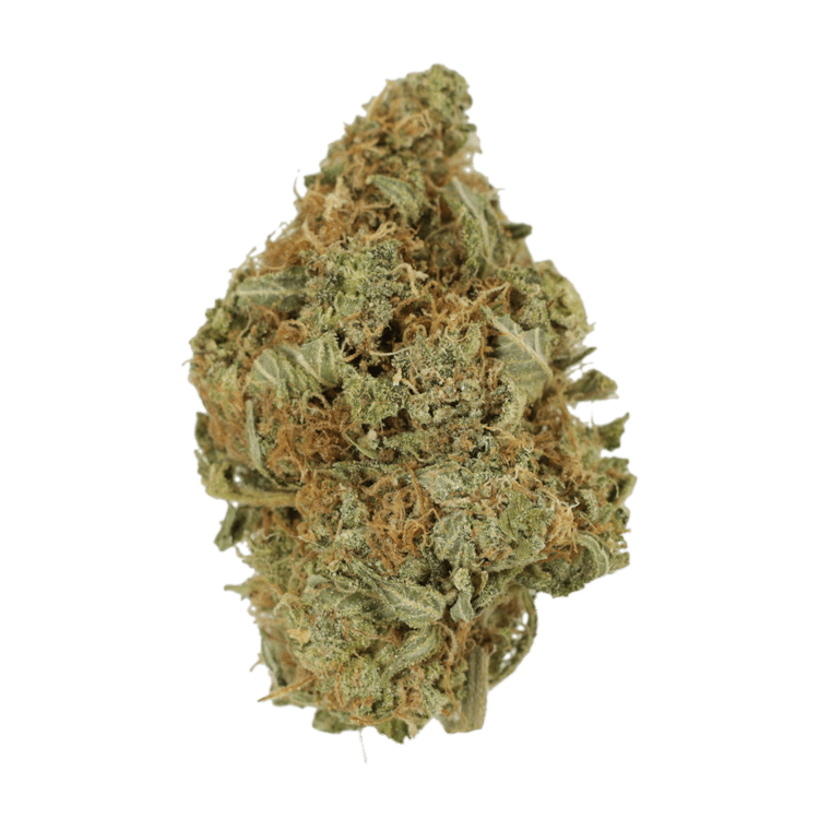 Herijuana | BC Weed Edible Canada Herijuana | BC Weed Edible Canada