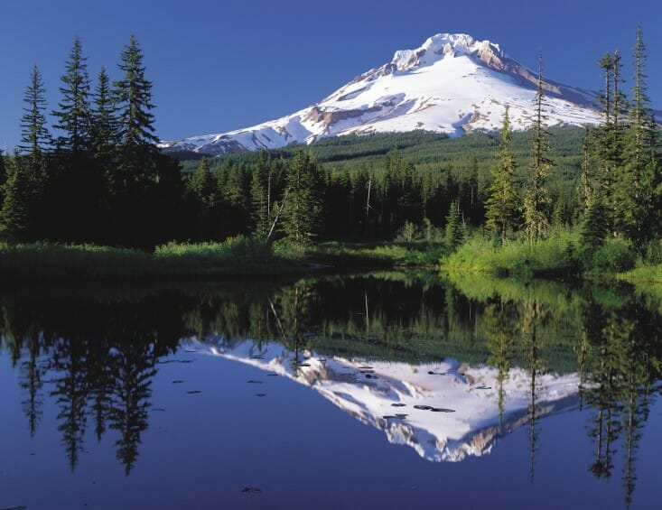 buy edibles online Northwest Territories